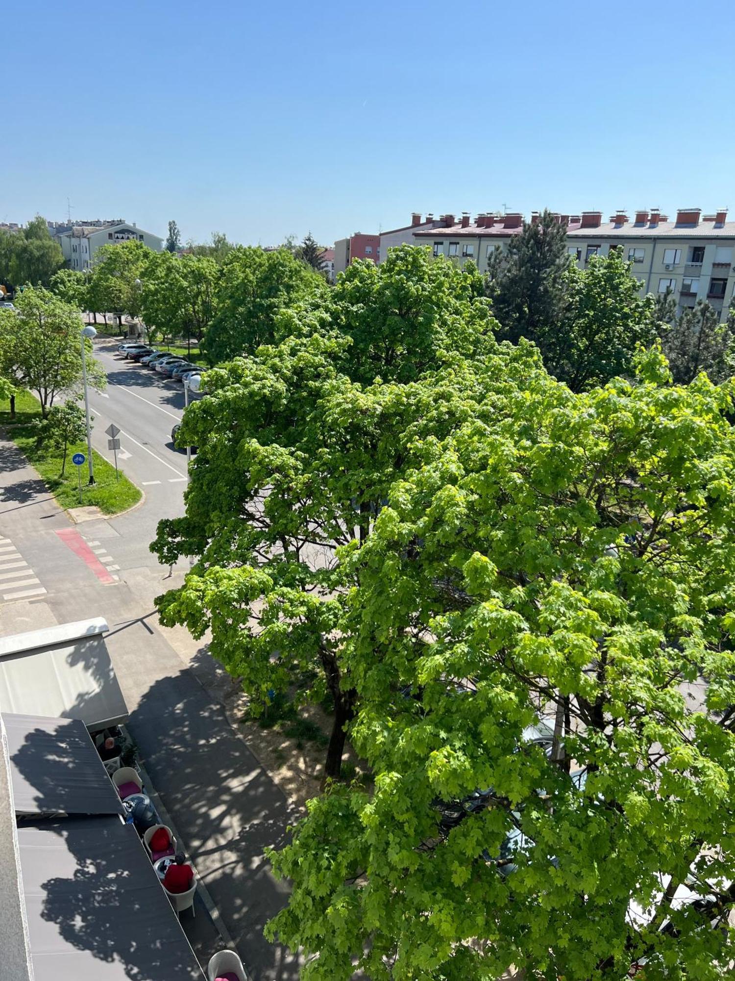 Rita Apartment-Free Parking&Wifi Zagreb Dış mekan fotoğraf
